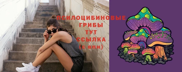 винт Абаза