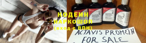 винт Абаза