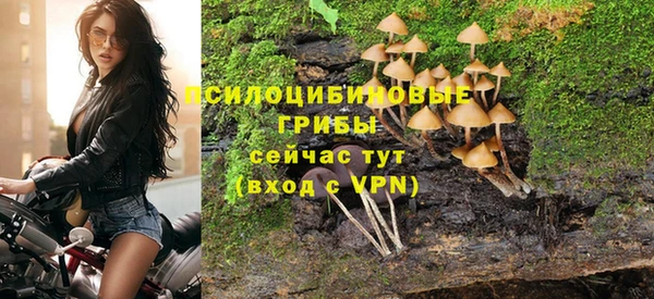 не бодяженный Абдулино